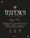 Terpenica &amp; Champannabis - Gipsy Hae