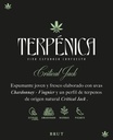 Terpenica &amp; Champannabis - Critical Jack