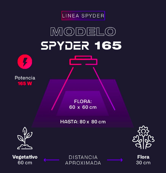Lux - SPYDER 165