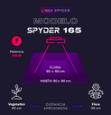 Lux - SPYDER 165