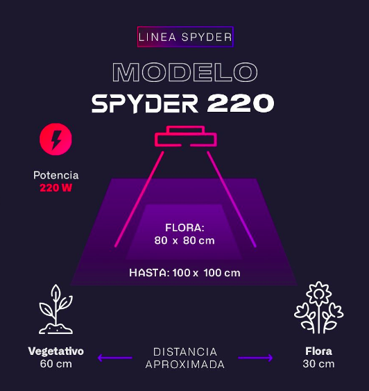 Lux - SPYDER 220