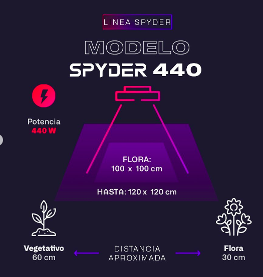 Lux - SPYDER 440