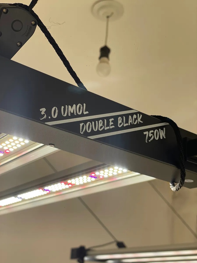 PARRILLA Lucius 750w Black Label