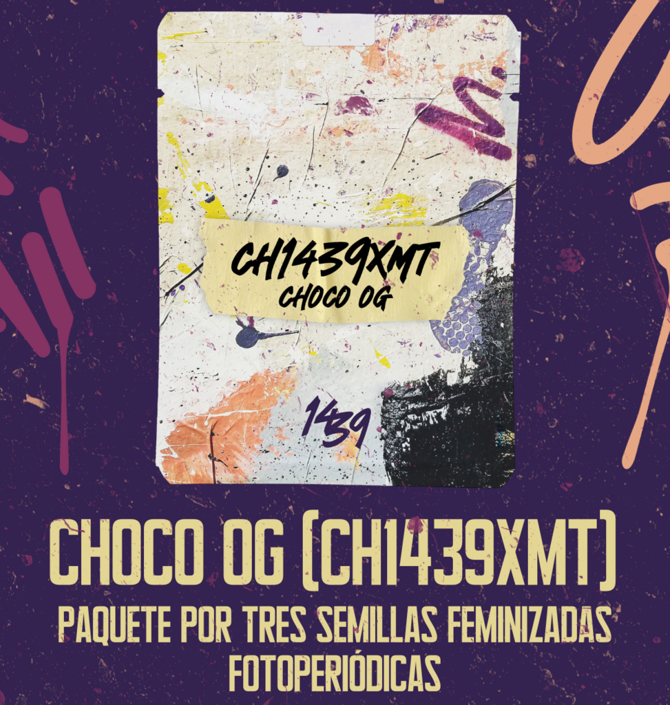 100 SEMILLAS CH1439XMT- CHOCO OG