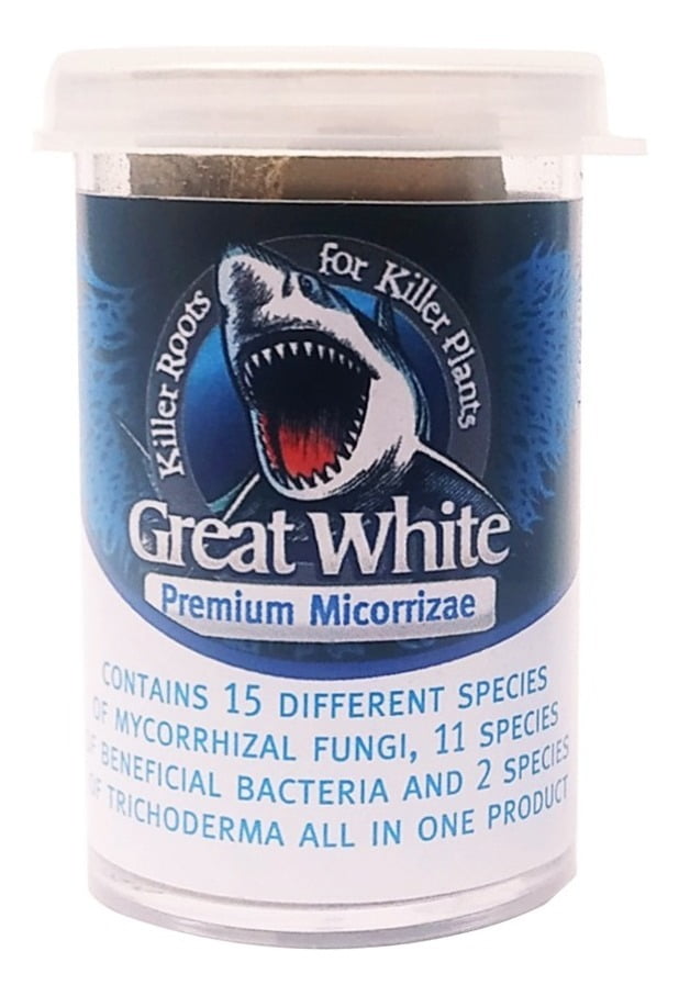 GREAT WHITE - 14 GRS