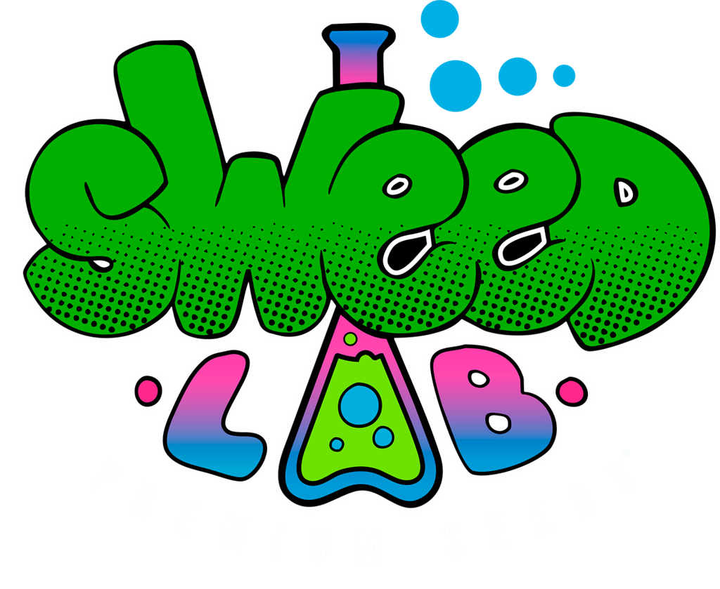SweedLab WIFI COOKIES - Foto Fem x4