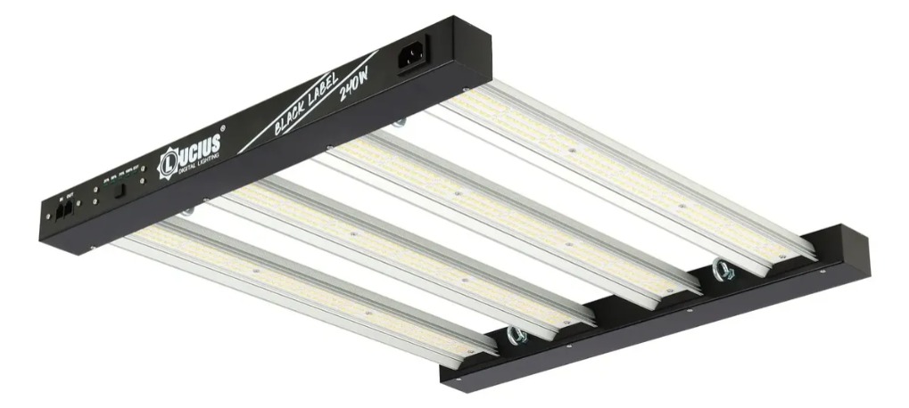 PARRILLA Lucius 240w Black Label LED