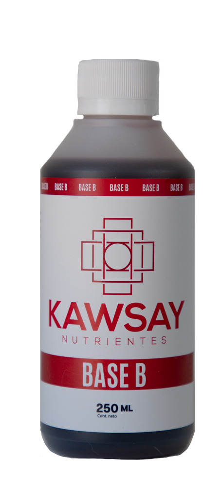 BASE B 250 ML