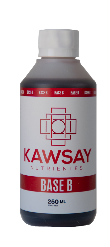 KAWSAY - BASE B 250 ml