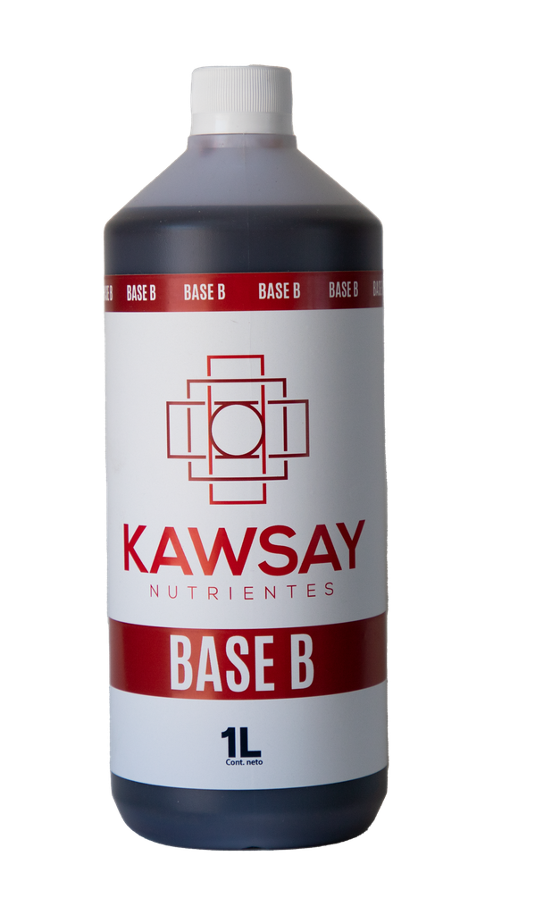 KAWSAY - BASE B 1 lt