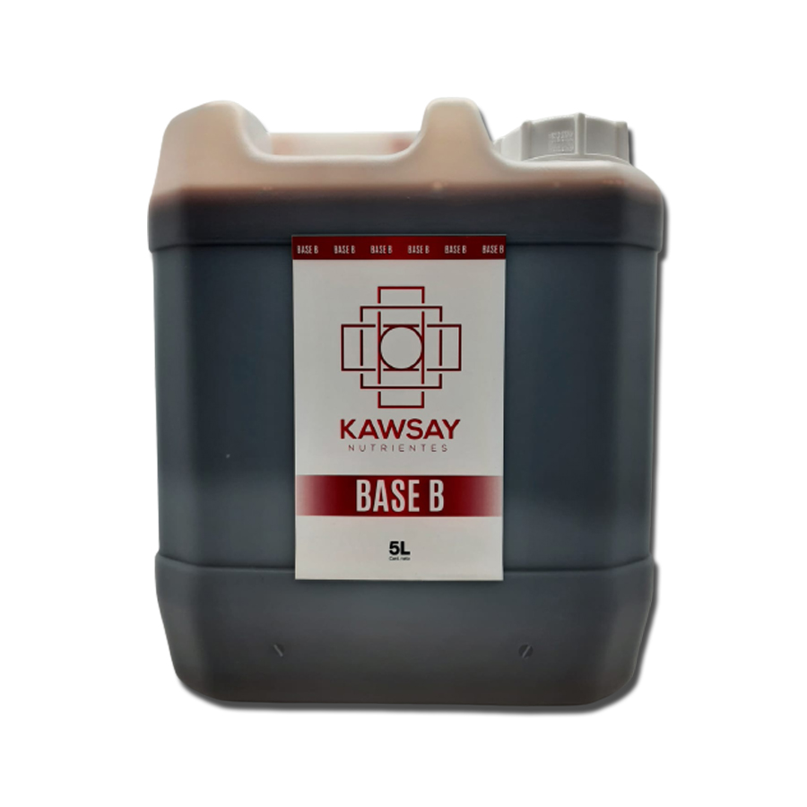 KAWSAY - BASE B 5 lt