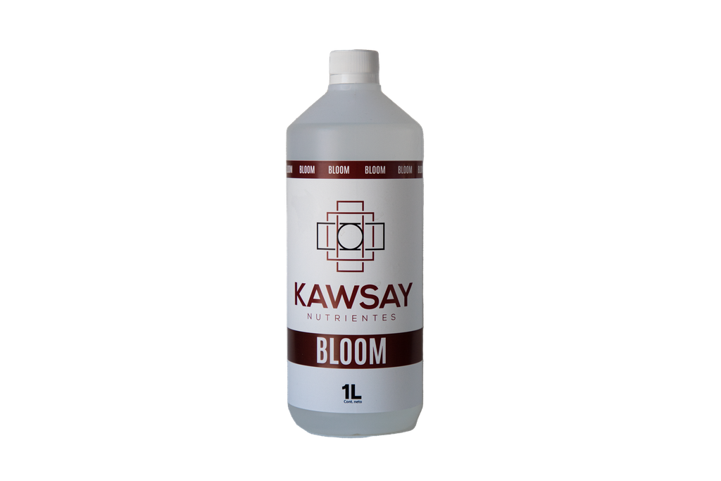 KAWSAY - BLOOM 1 lt