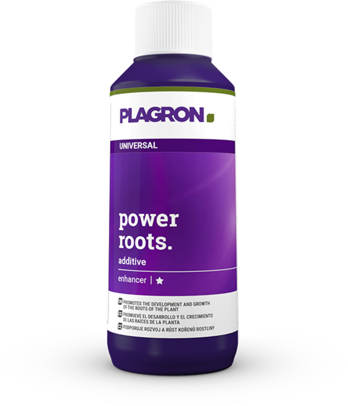 POWER ROOTS 100 ml