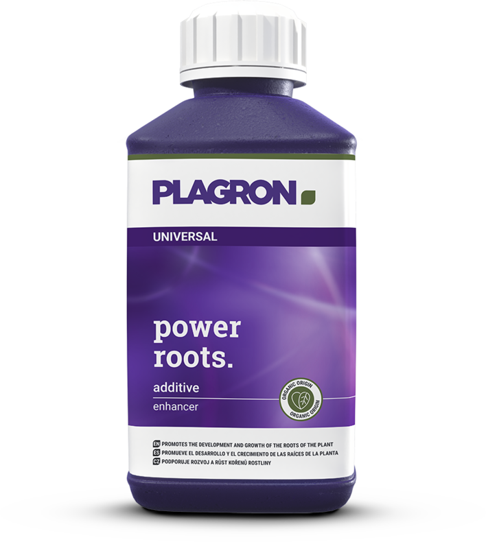 POWER ROOTS 250 ml