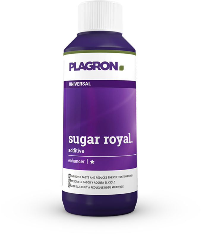 SUGAR ROYAL 100 ml