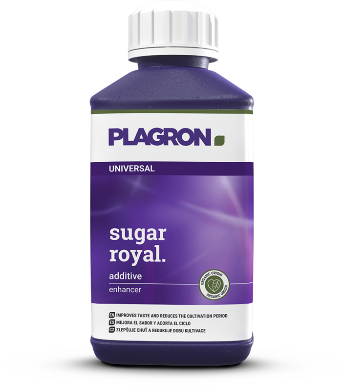 SUGAR ROYAL 250 ml