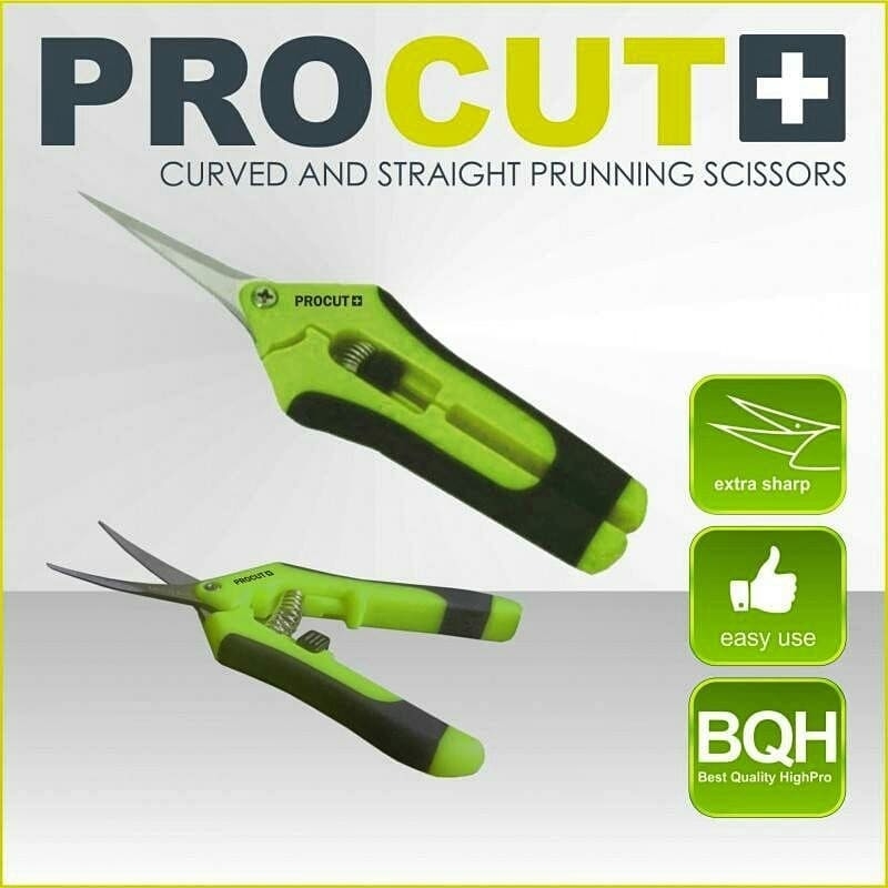 TIJERA PROCUT CURVA 