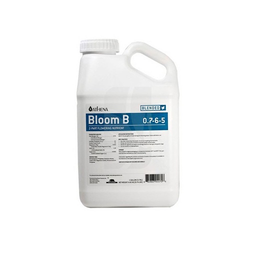 athena - Bloom B (3.78 Lt)