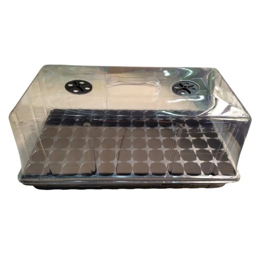 Bandeja incubadora esquejes con tapa + Plug 72u