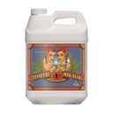 SENSI CAL MAG XTRA 4 L