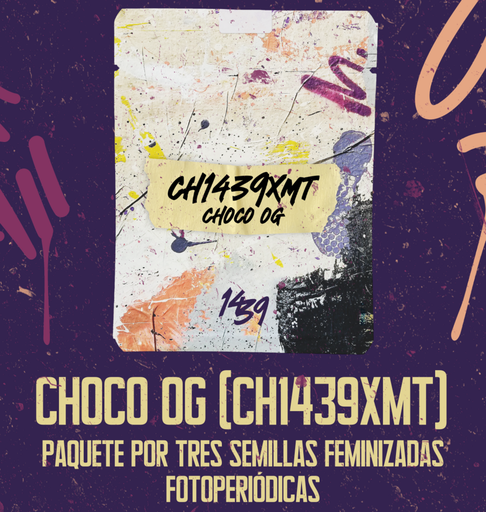30 SEMILLAS CH1439XMT- CHOCO OG (10 BLISTERS)