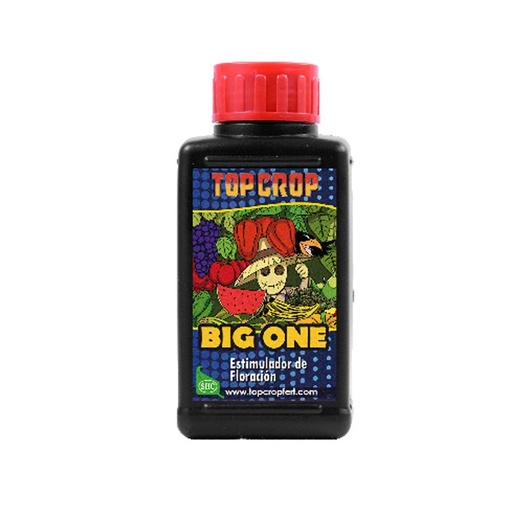 [00133] BIG ONE (ESTIMULADOR FLORA) 100 ML