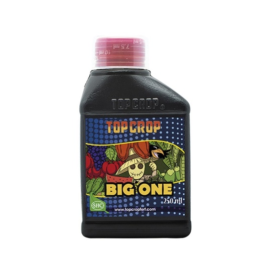 [00134] BIG ONE (ESTIMULADOR FLORA) 250ML