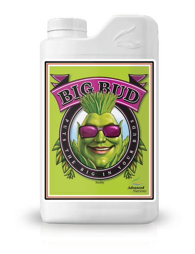 [00046] BIG BUD 250 ML