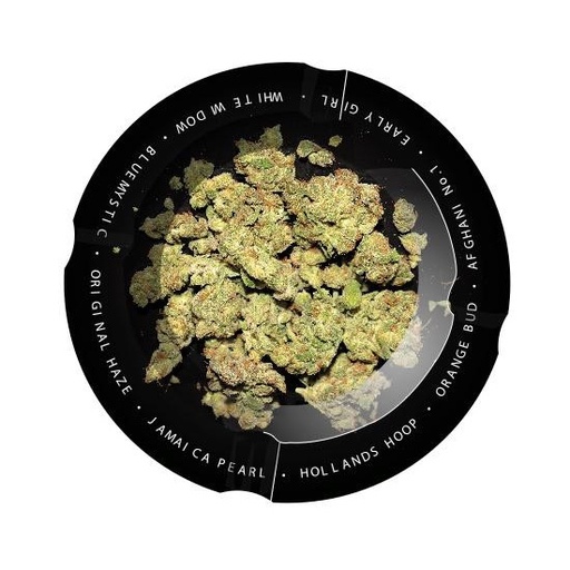 [28252] Cenicero LION Redondo