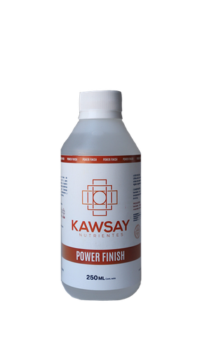 [ESTANTERIA 13] POWER FINISH 250 ML