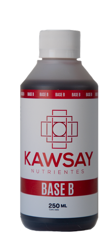 BASE B 250 ML