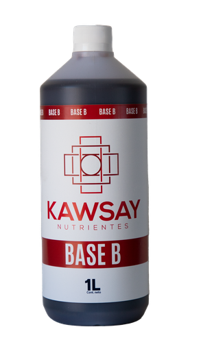 BASE B 1 LT