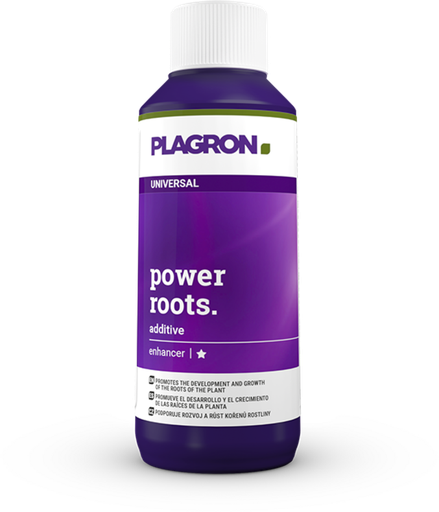POWER ROOTS 100 ml
