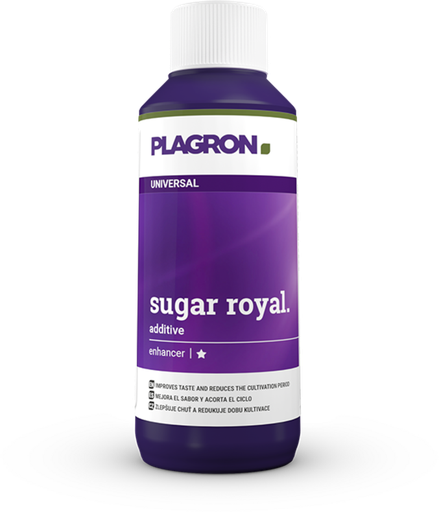 SUGAR ROYAL 100 ml